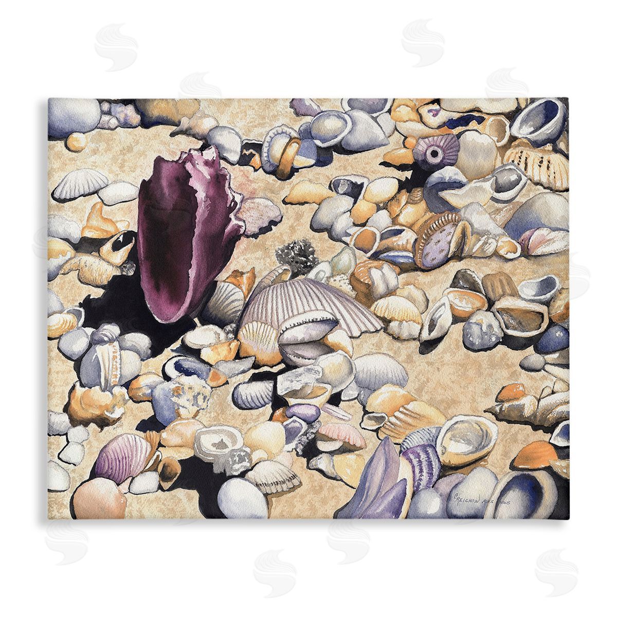 Christine Reichow Various Seashells on Coast
