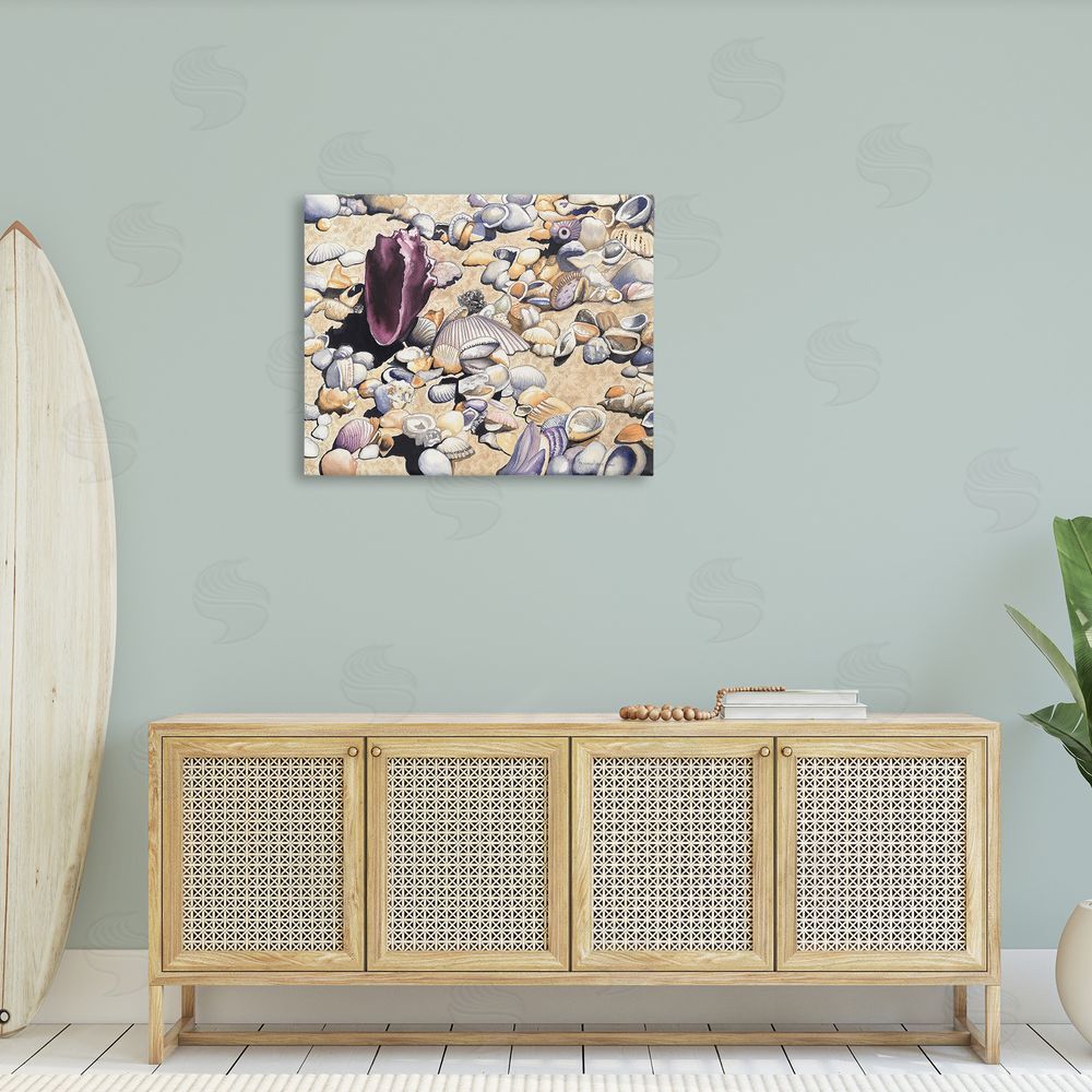 Christine Reichow Various Seashells on Coast