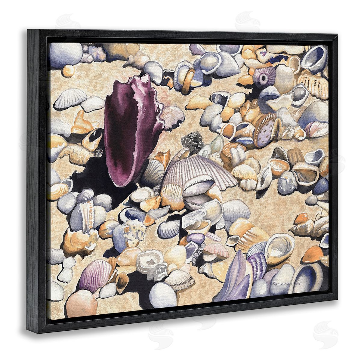 Christine Reichow Various Seashells on Coast