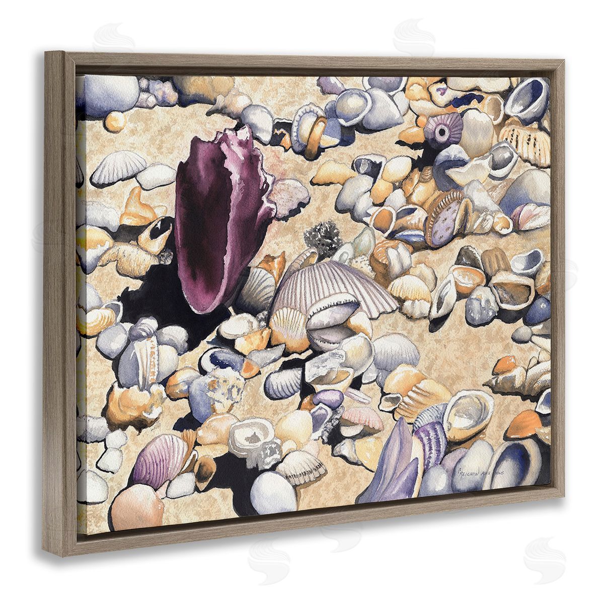Christine Reichow Various Seashells on Coast