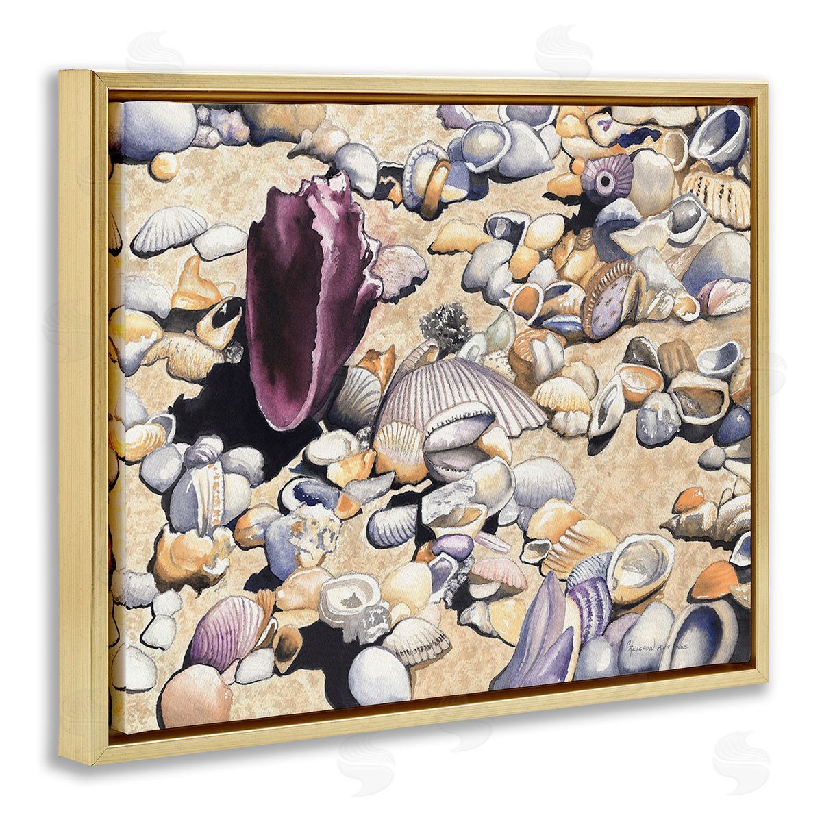 Christine Reichow Various Seashells on Coast