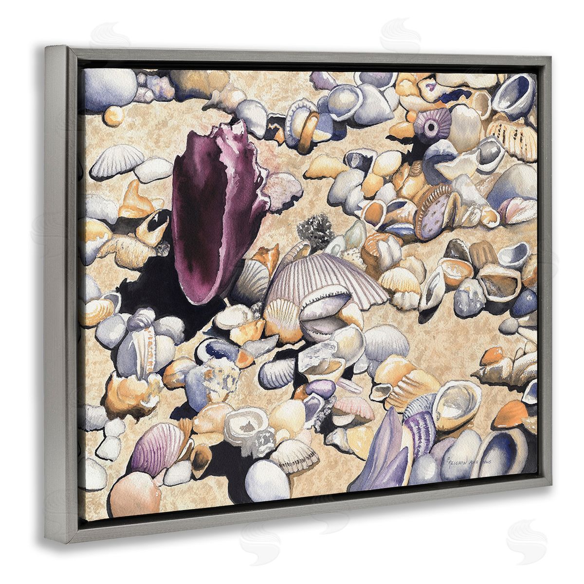 Christine Reichow Various Seashells on Coast