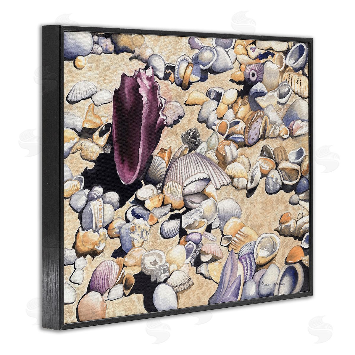 Christine Reichow Various Seashells on Coast