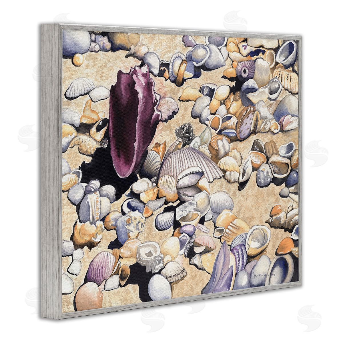 Christine Reichow Various Seashells on Coast