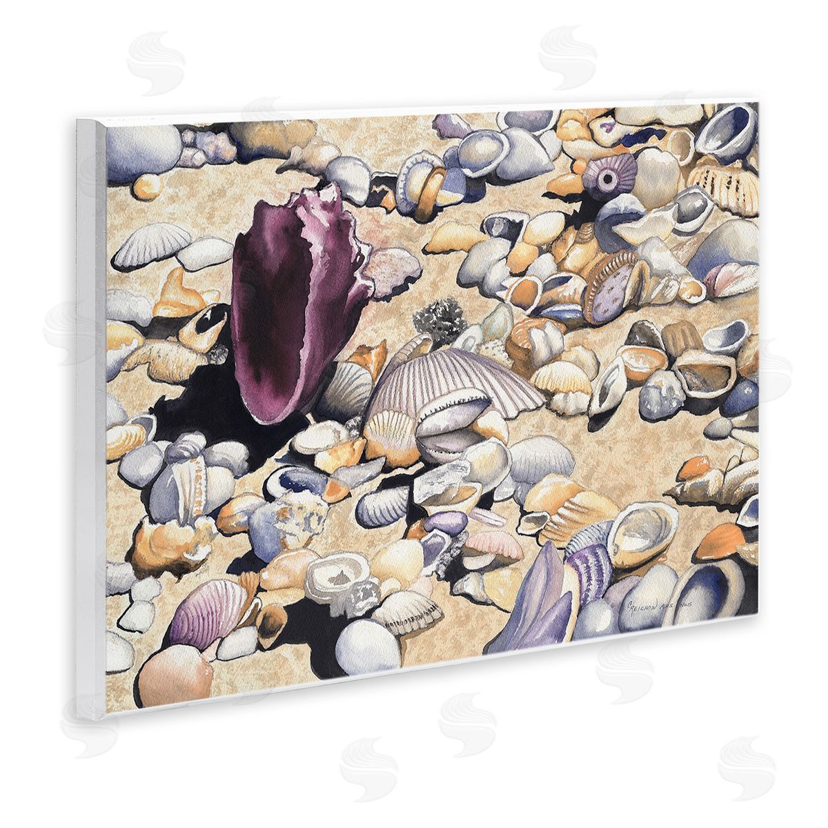 Christine Reichow Various Seashells on Coast