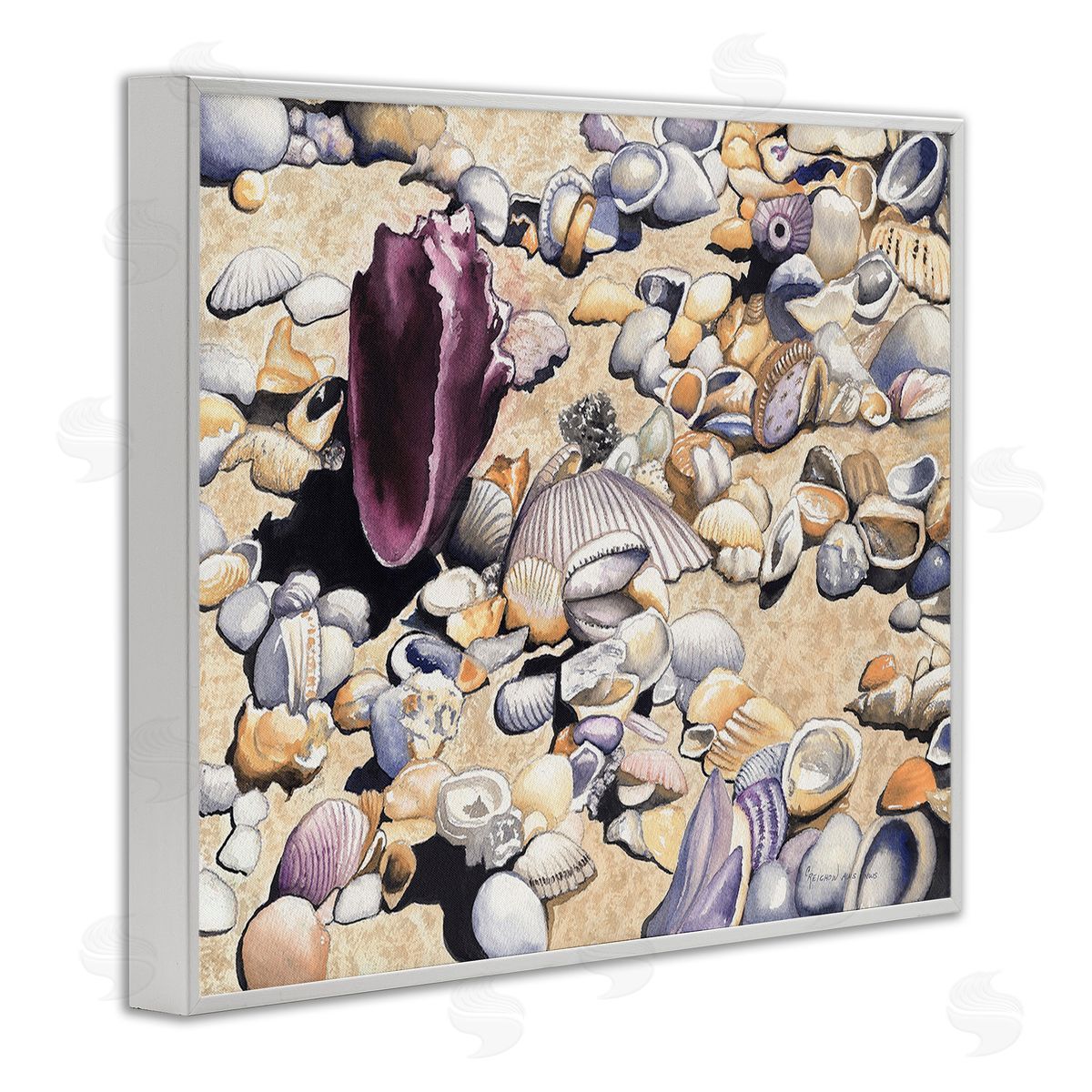 Christine Reichow Various Seashells on Coast