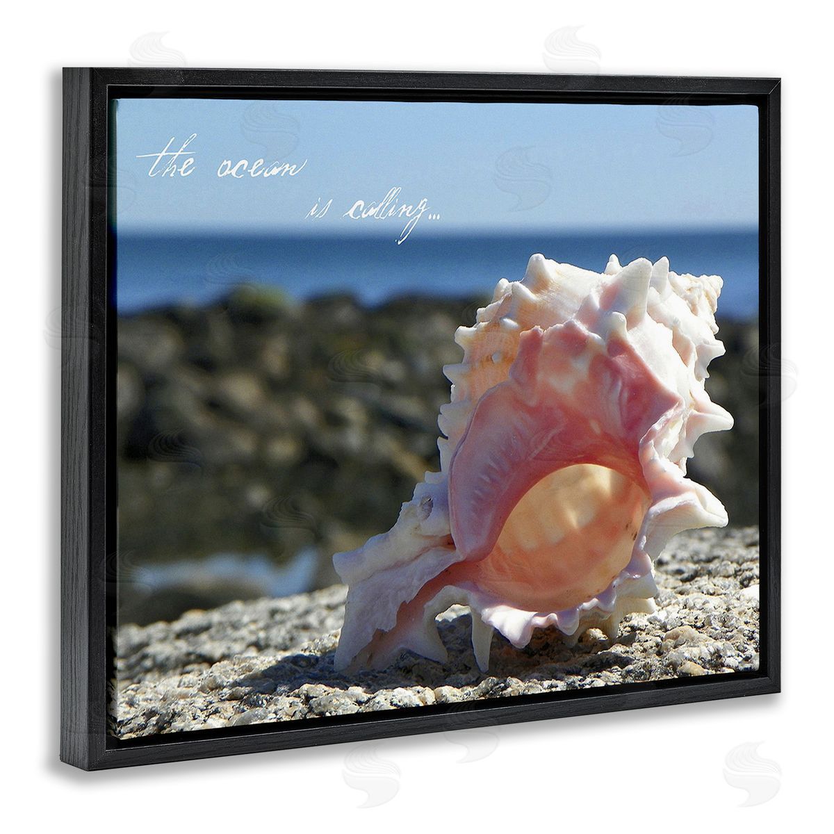 Graffitee Studios Ocean Is Calling Conch