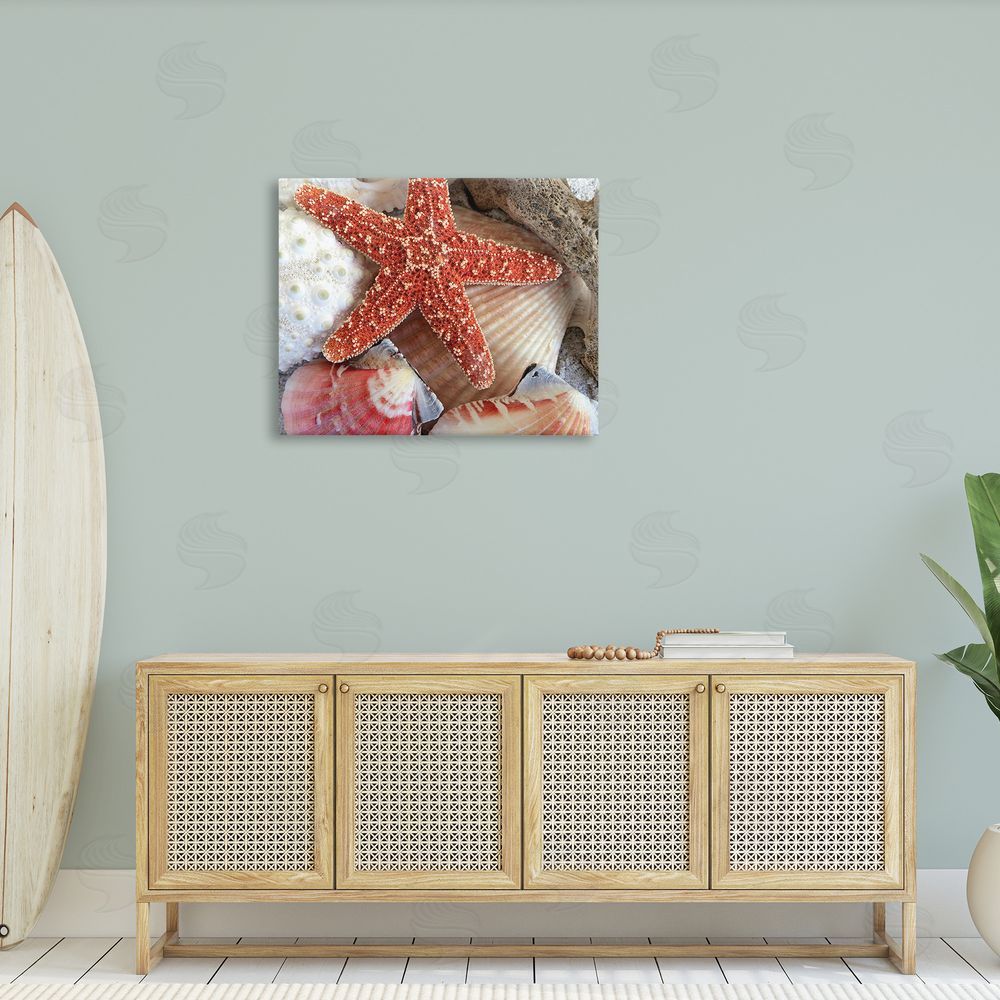 Graffitee Studios Various Seashells Ashore