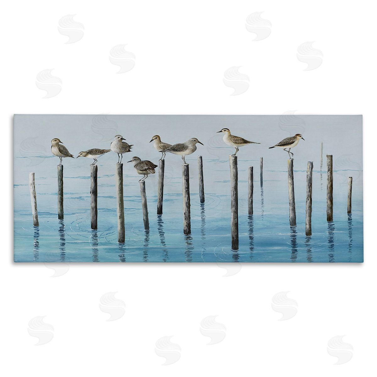 Max Maxx Perched Sea Birds