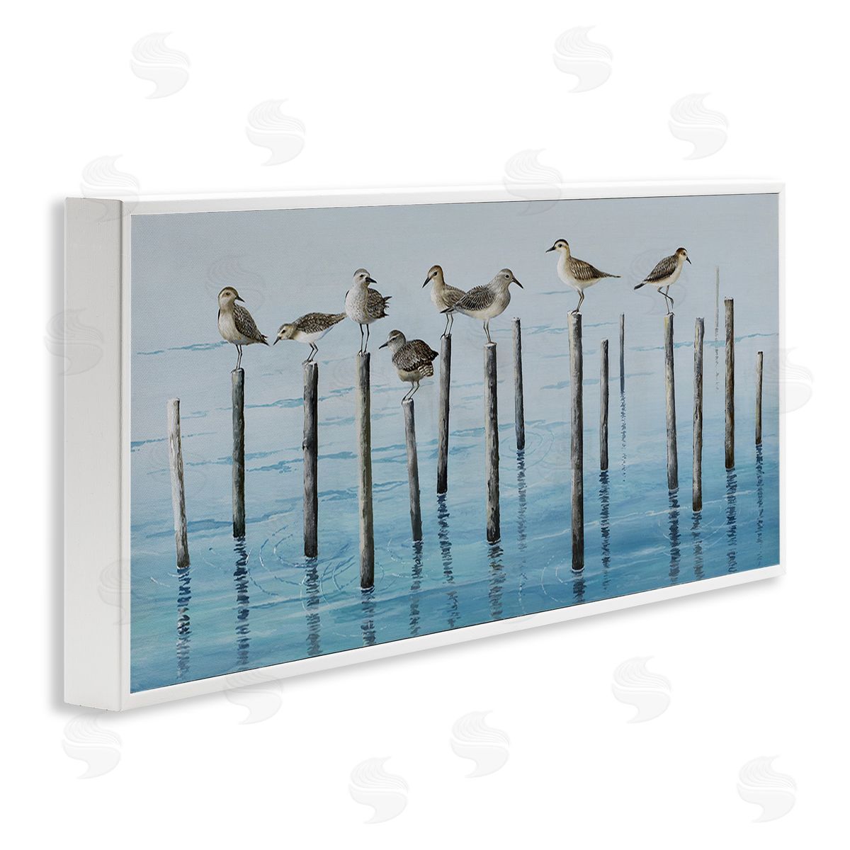 Max Maxx Perched Sea Birds