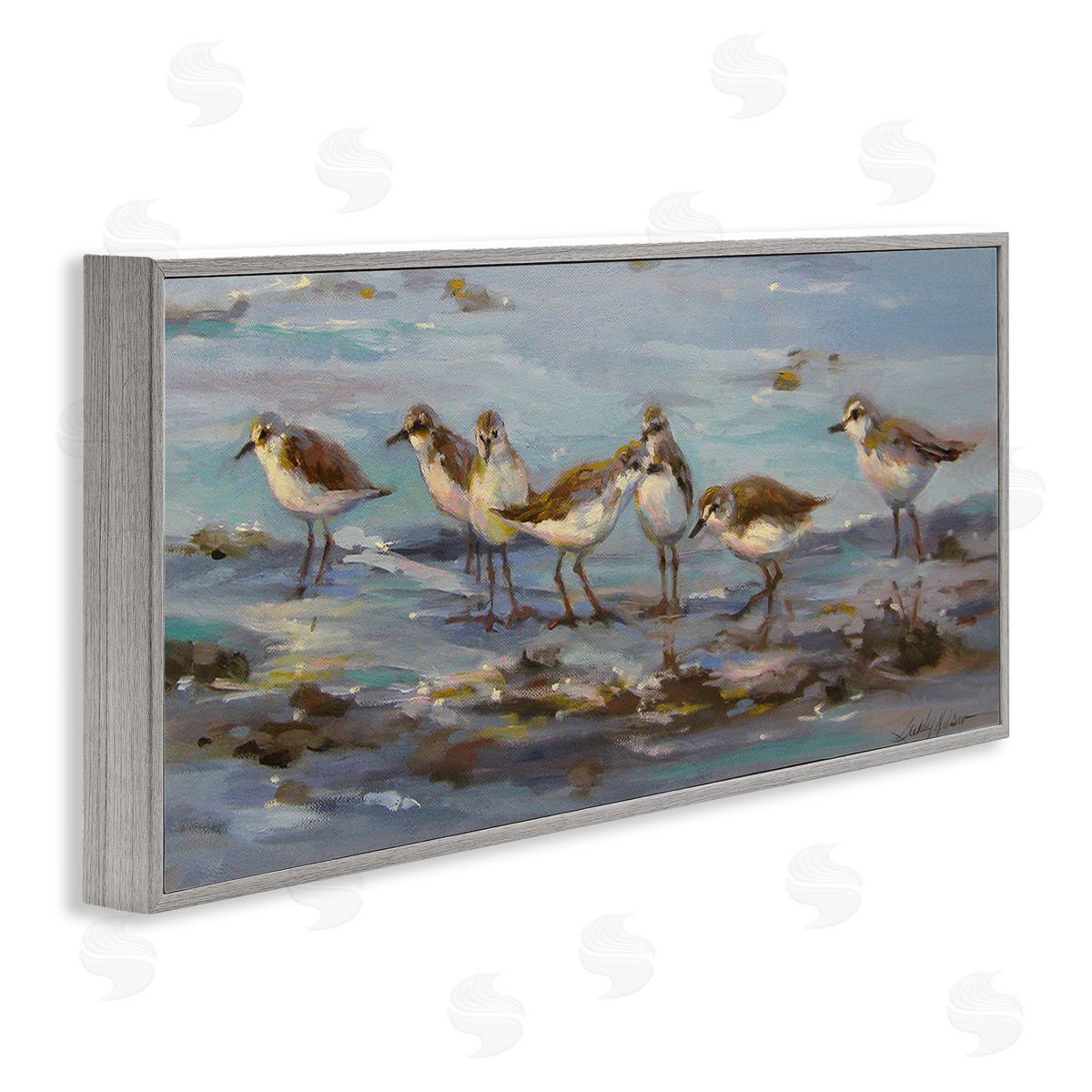 Sandy Nelson Sandpiper Flock on Shore