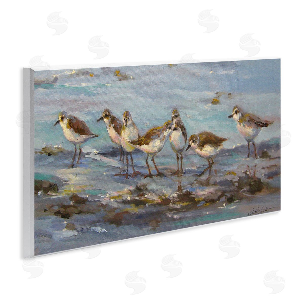 Sandy Nelson Sandpiper Flock on Shore