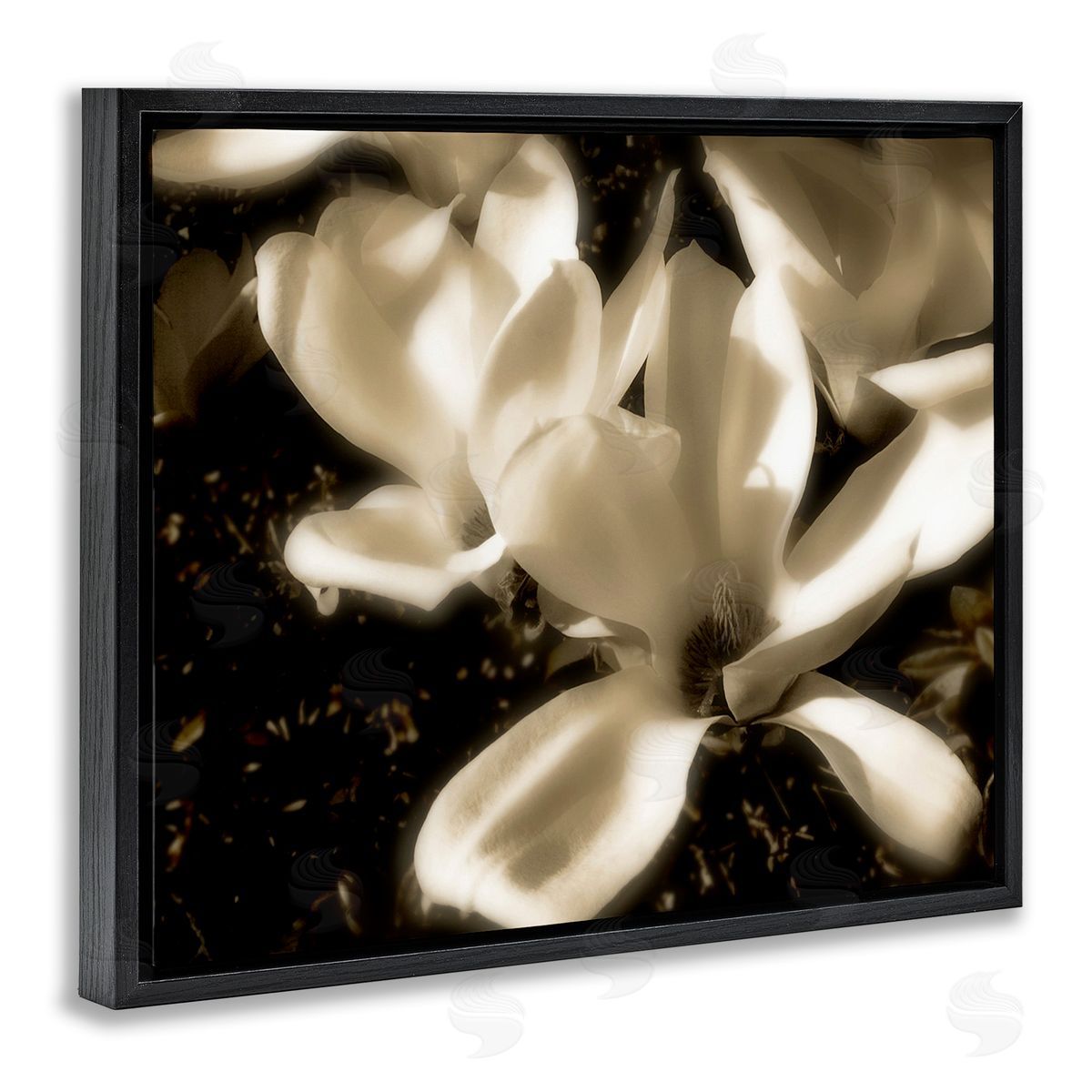 Noah Bay Plant Petals in Nature Black Floating Frame Canvas Wall Art Print
