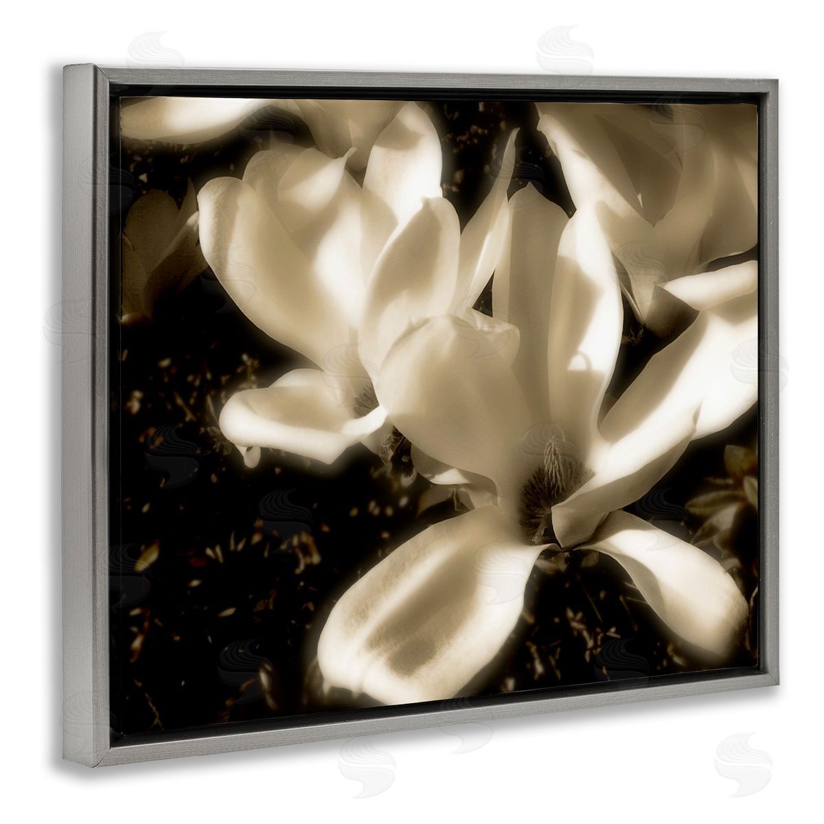 Noah Bay Plant Petals in Nature Gray Floating Frame Canvas Wall Art Print