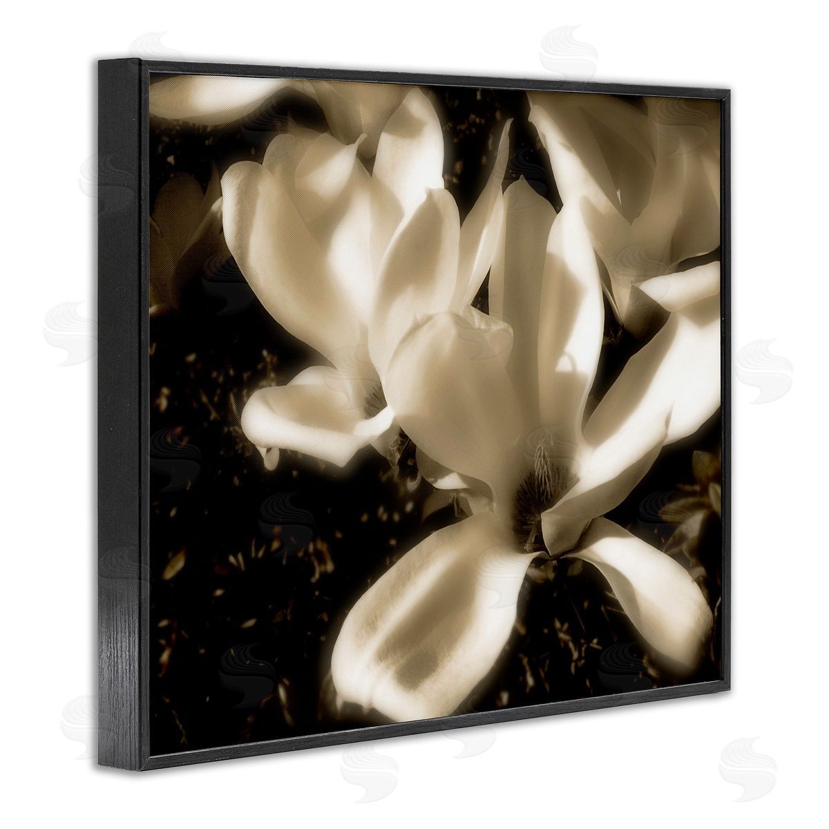 Noah Bay Plant Petals in Nature Black Framed Giclee Wall Art Print