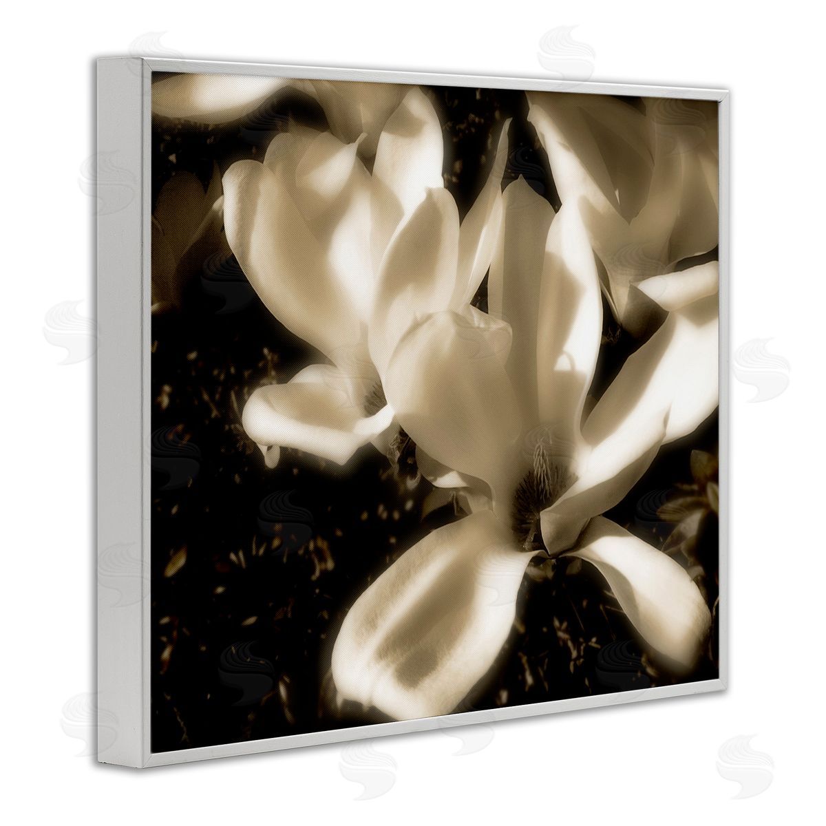 Noah Bay Plant Petals in Nature White Framed Giclee Wall Art Print