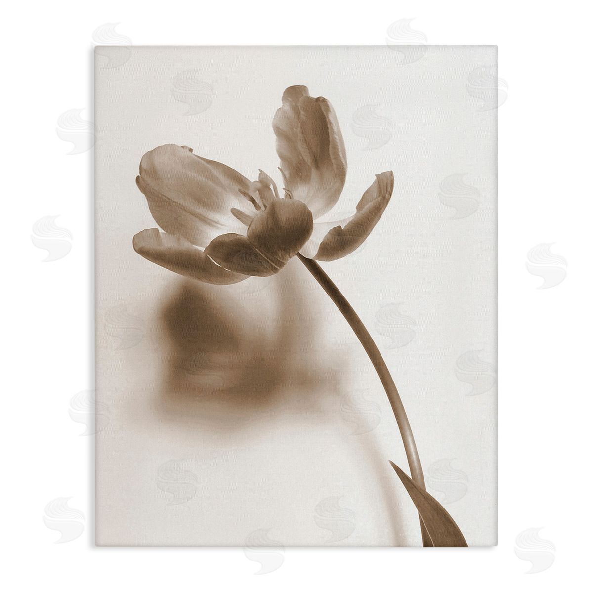 Gail Peck Minimal Tulip Stem Canvas Wall Art Print