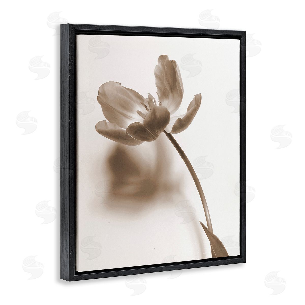 Gail Peck Minimal Tulip Stem Black Floating Frame Canvas Wall Art Print