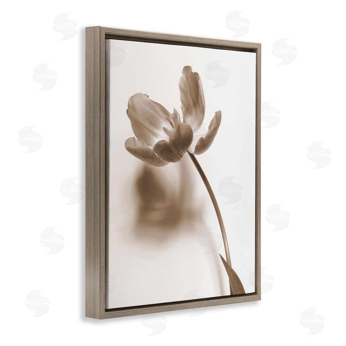 Gail Peck Minimal Tulip Stem Brown Floating Frame Canvas Wall Art Print