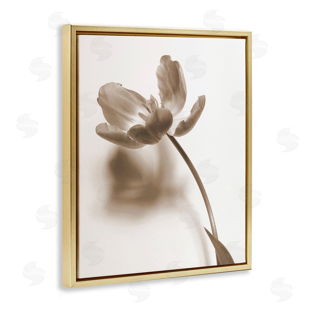 Gail Peck Minimal Tulip Stem Gold Floating Frame Canvas Wall Art Print