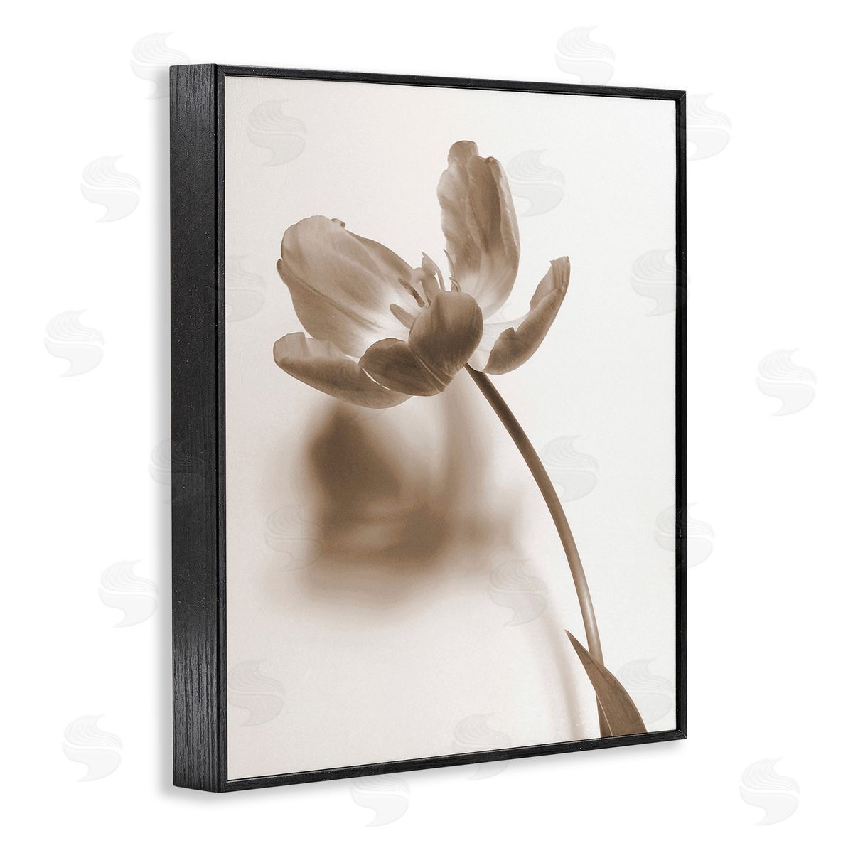 Gail Peck Minimal Tulip Stem Black Framed Giclee Wall Art Print