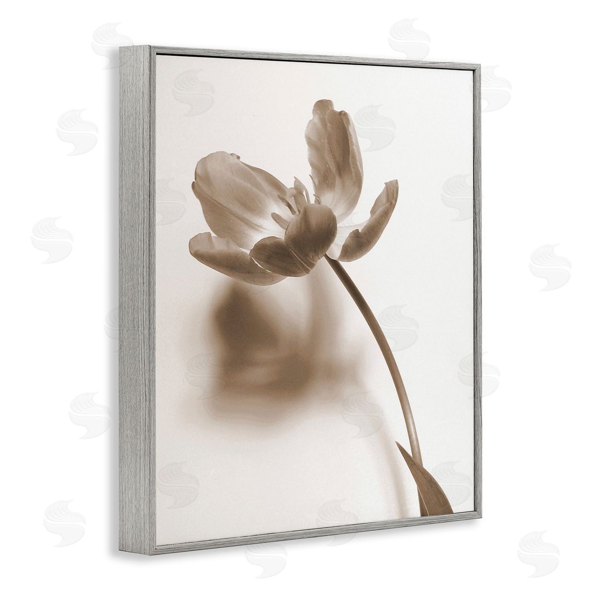 Gail Peck Minimal Tulip Stem Gray Framed Giclee Wall Art Print