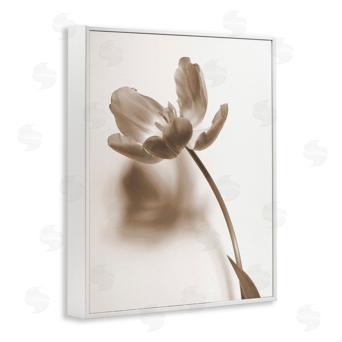 Gail Peck Minimal Tulip Stem White Framed Giclee Wall Art Print
