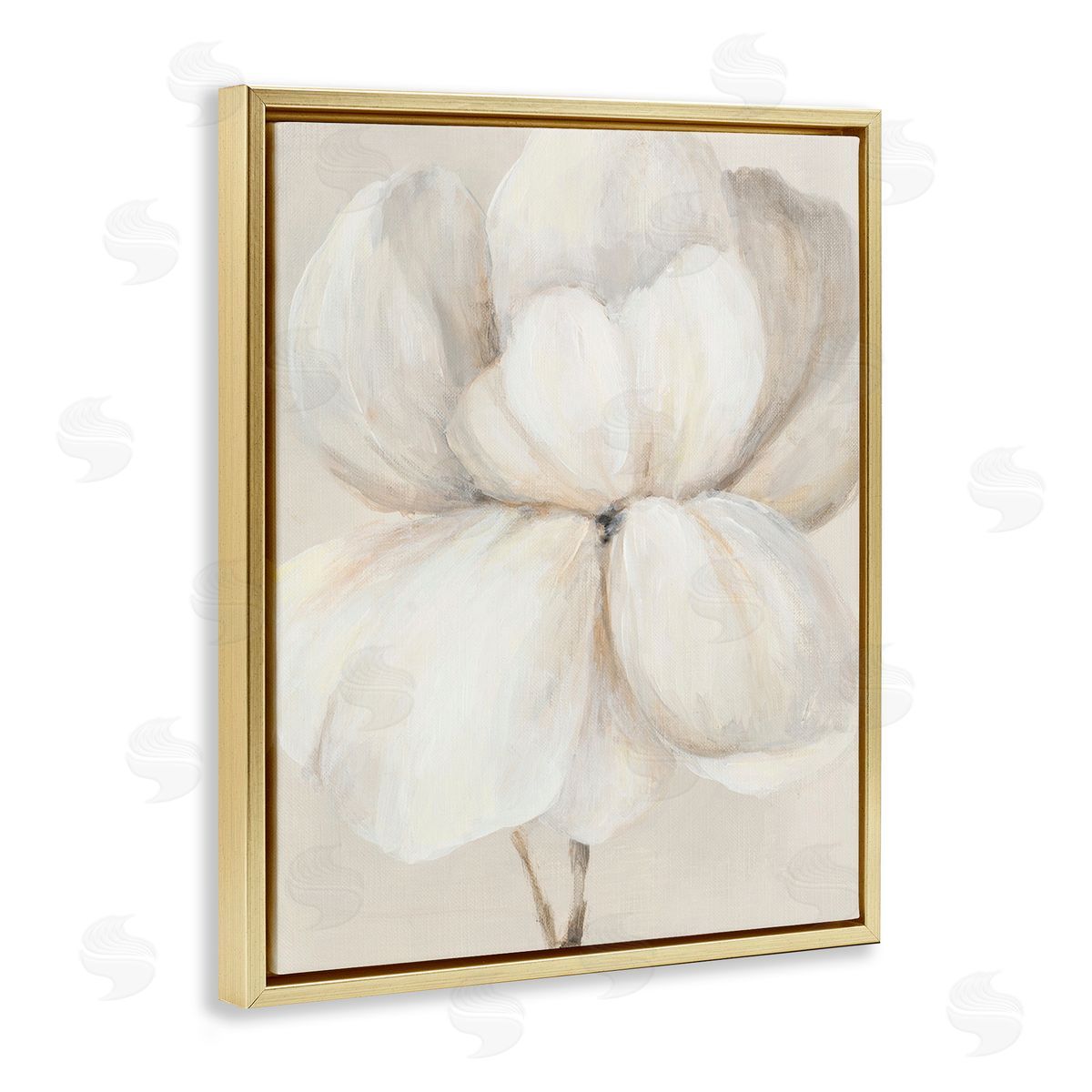 Patricia Pinto White Flower Blossom Gold Floating Frame Canvas Wall Art Print