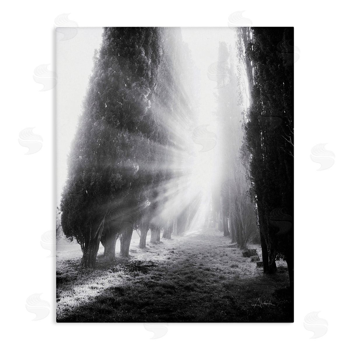 Aledanda Sun Rays & Hedge Grove Canvas Wall Art Print
