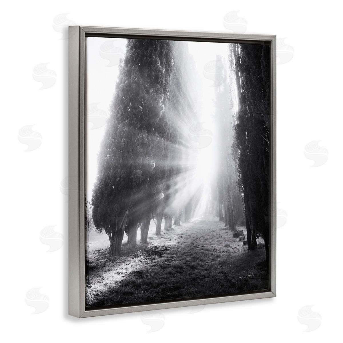 Aledanda Sun Rays & Hedge Grove Gray Floating Frame Canvas Wall Art Print