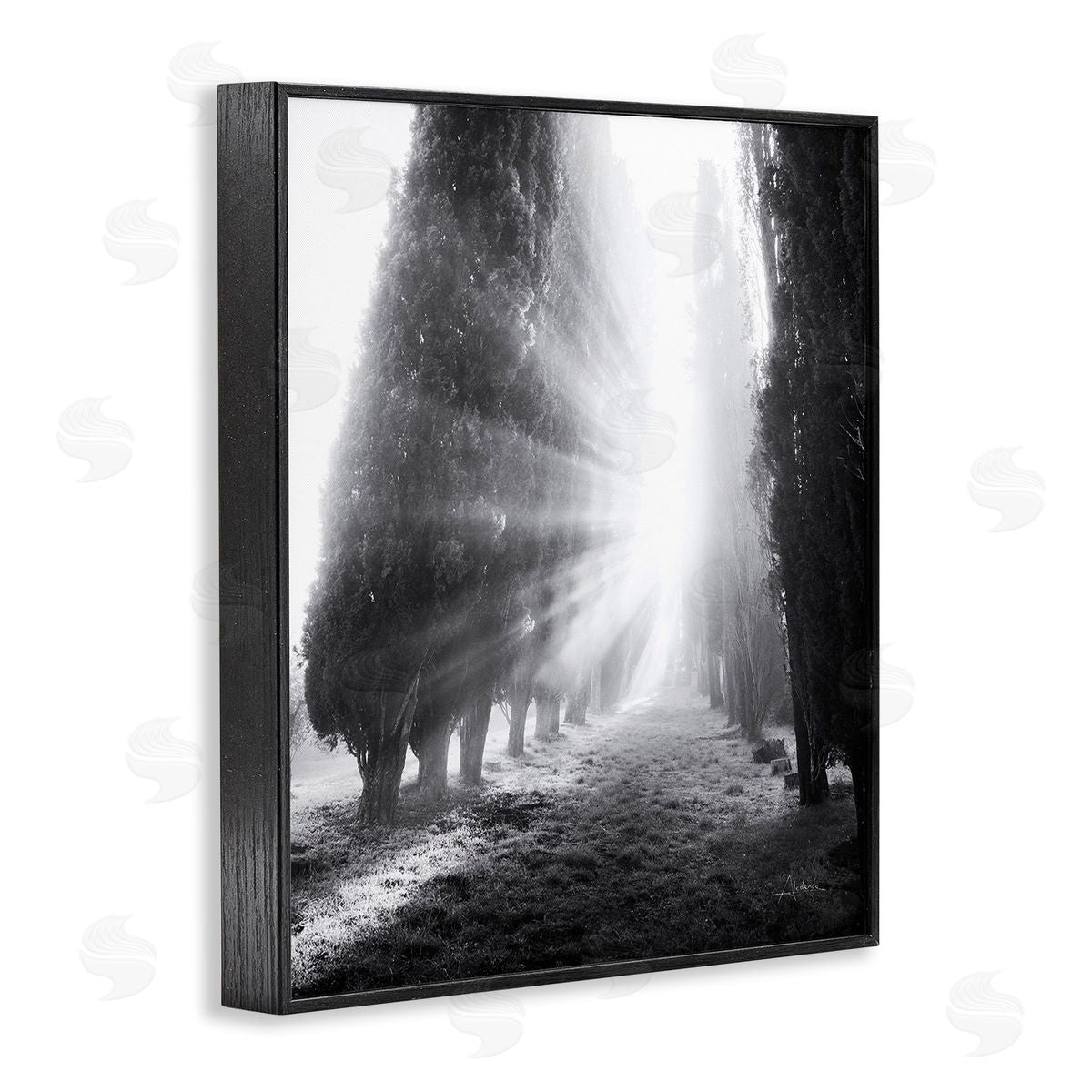 Aledanda Sun Rays & Hedge Grove Black Framed Giclee Wall Art Print