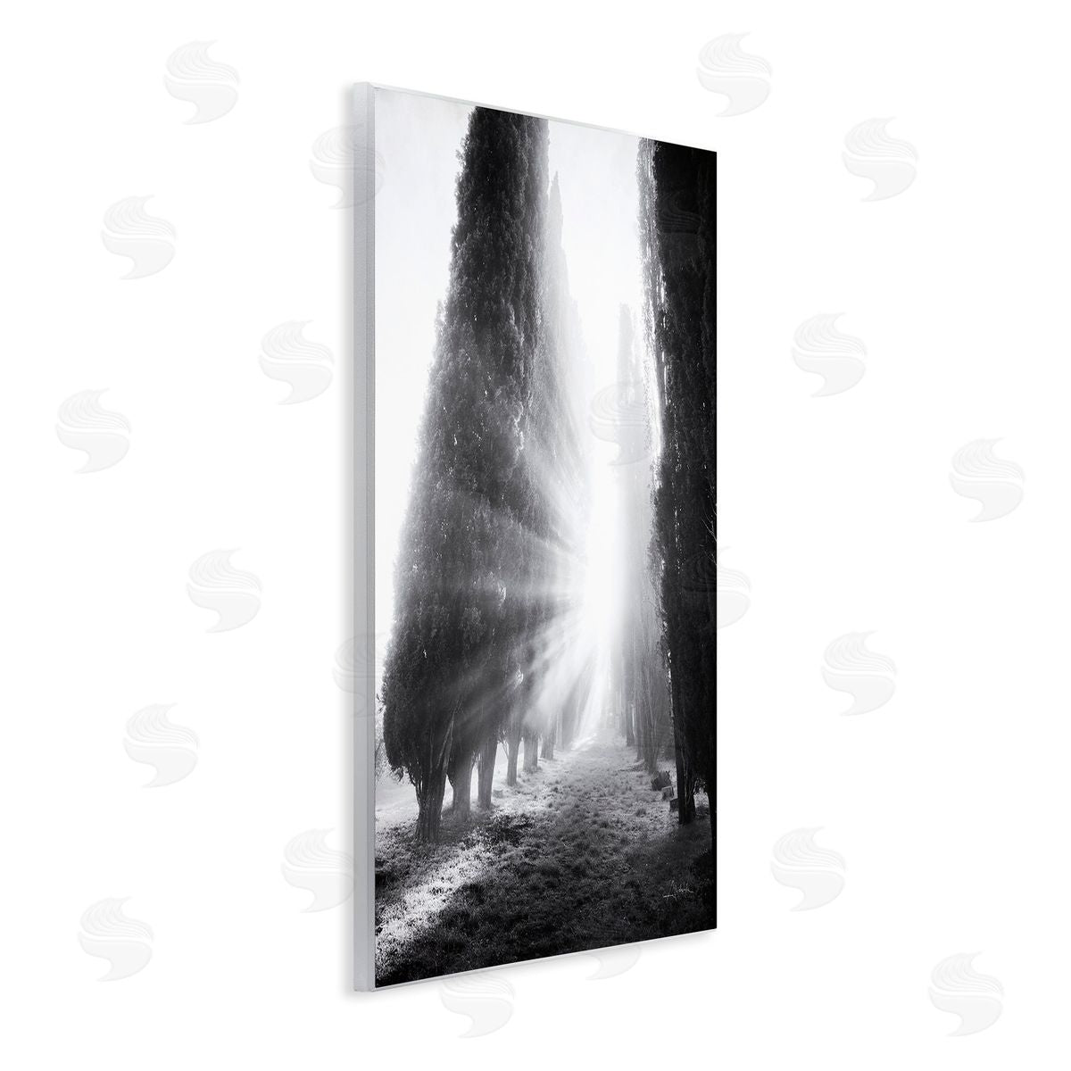 Aledanda Sun Rays & Hedge Grove Wooden Wall Plaque Art Print