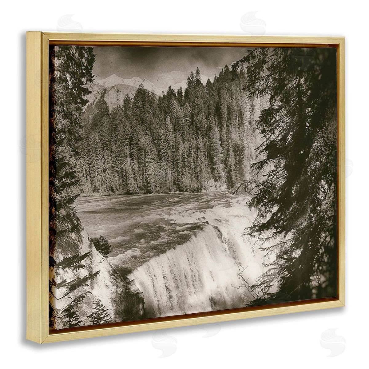 Nathan Larson Woodland Waterfall Photography Gold Floating Frame Canvas Wall Art Print