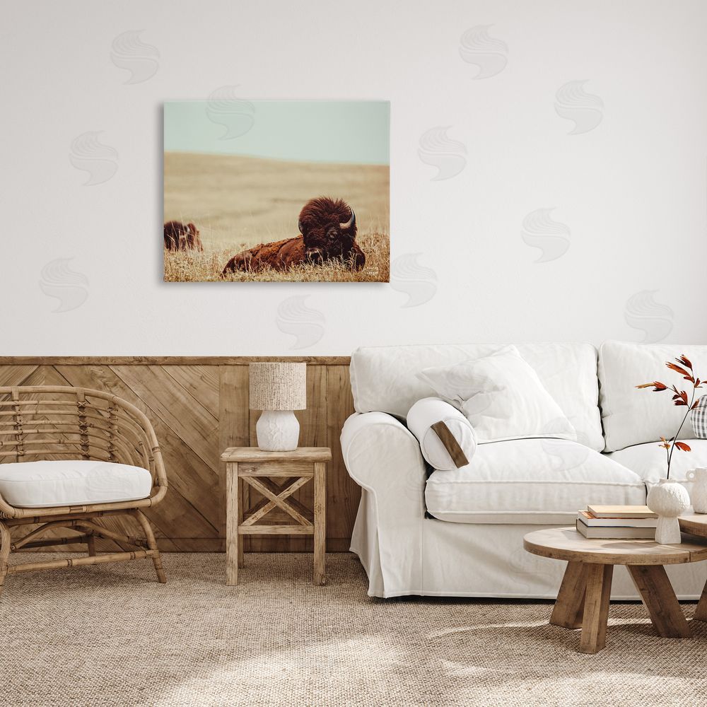 Nathan Larson Bison Relaxing in Field Canvas Wall Art Print in Room