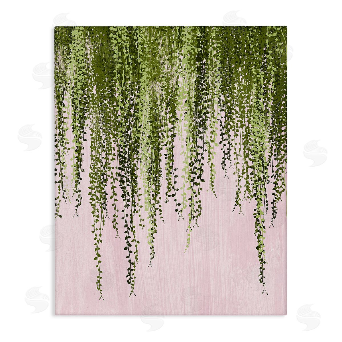 Grace Popp Hanging Ivy on Pink Canvas Wall Art Print
