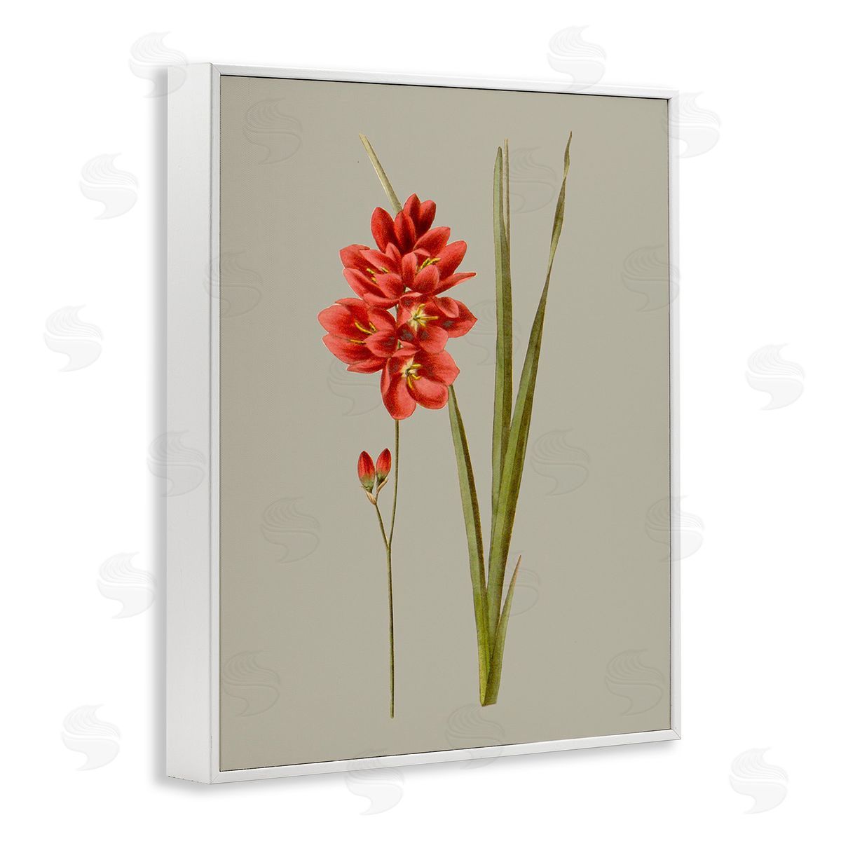 Vision Studio Red Traditional Botanical White Framed Giclee Wall Art Print