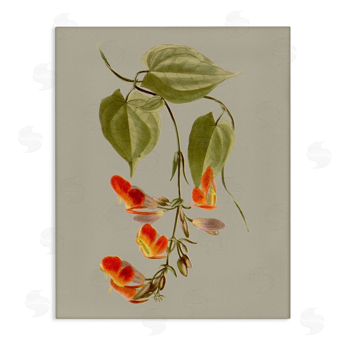 Vision Studio Vine with Red Blossoms Canvas Wall Art Print