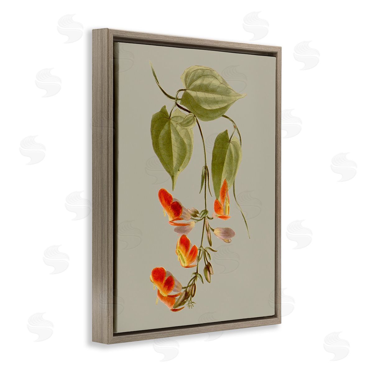 Vision Studio Vine with Red Blossoms Brown Floating Frame Canvas Wall Art Print