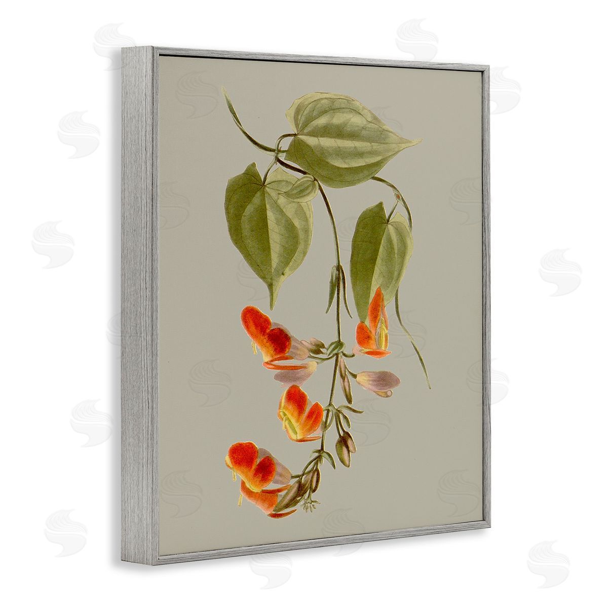 Vision Studio Vine with Red Blossoms Gray Framed Giclee Wall Art Print