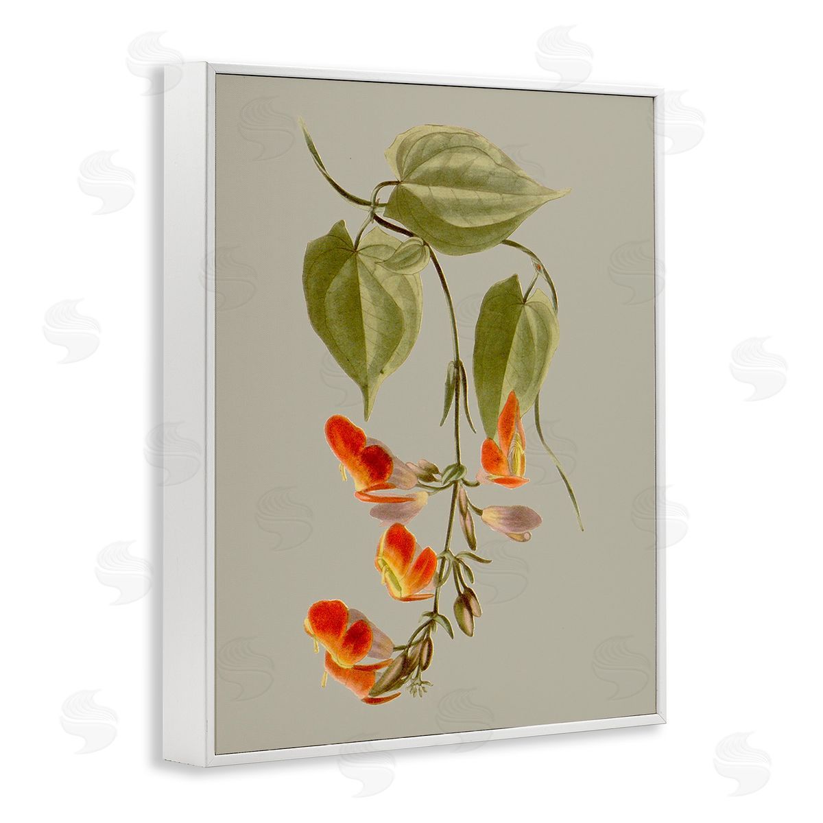 Vision Studio Vine with Red Blossoms White Framed Giclee Wall Art Print