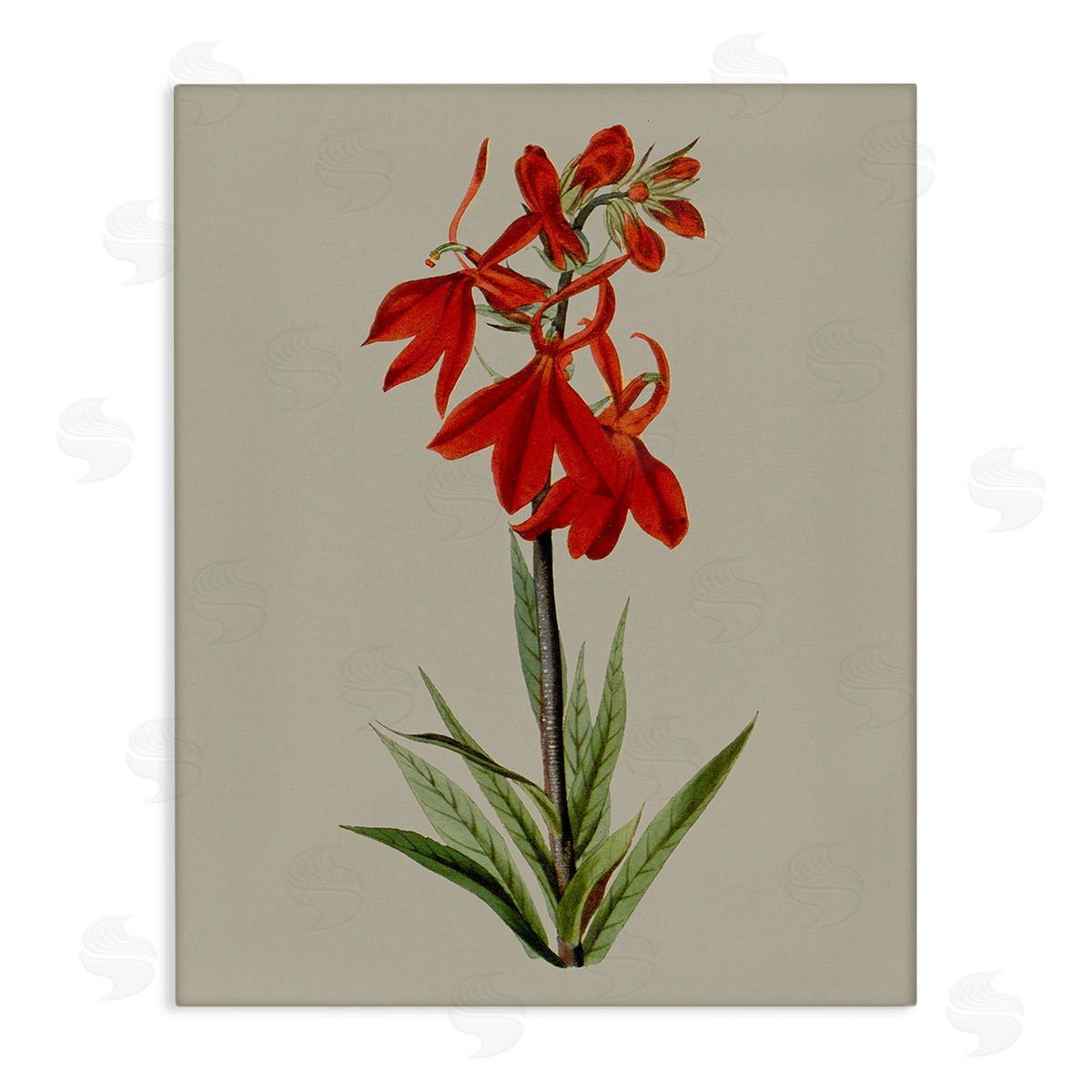 Vision Studio Traditional Blossom Study Canvas Wall Art Print
