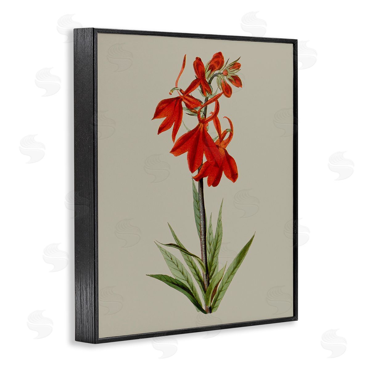 Vision Studio Traditional Blossom Study Black Framed Giclee Wall Art Print