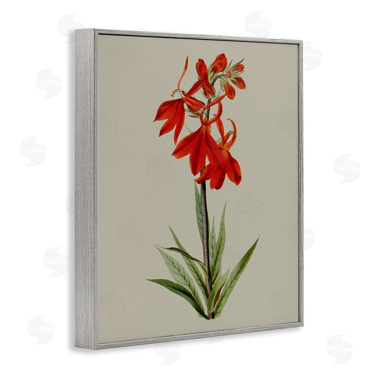Vision Studio Traditional Blossom Study Gray Framed Giclee Wall Art Print