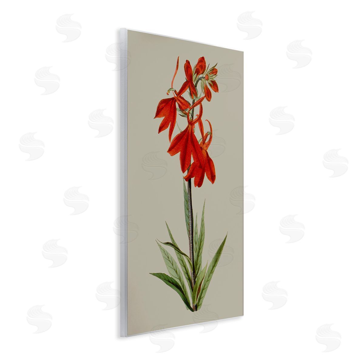 Vision Studio Traditional Blossom Study Wooden Wall Plaque Art Print
