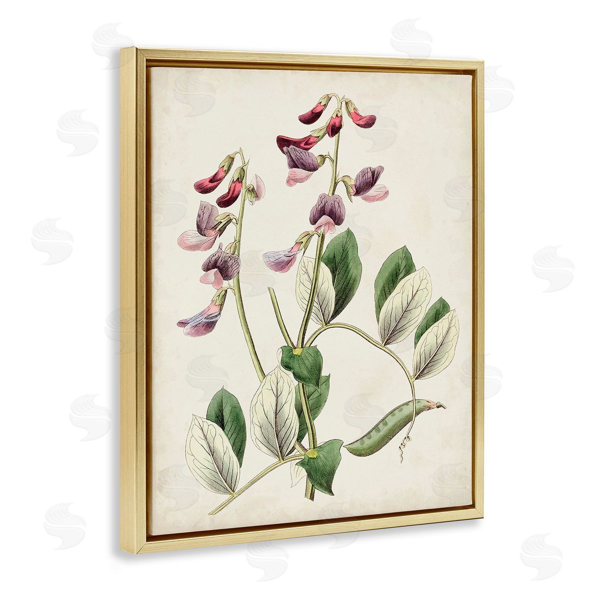 Ridgeway Vintage Foxglove Study Gold Floating Frame Canvas Wall Art Print