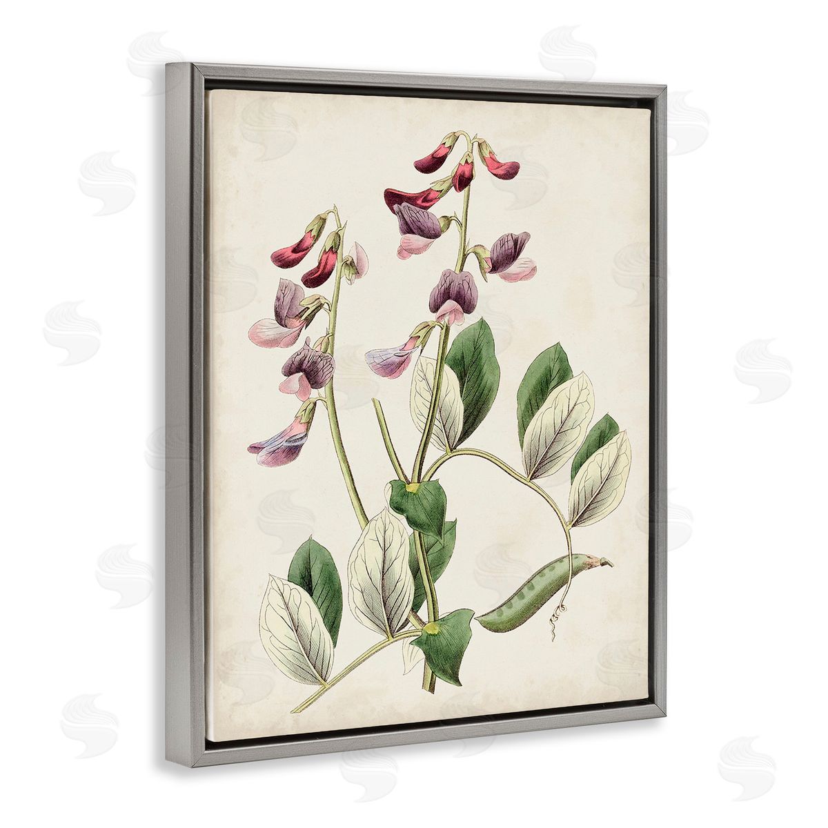 Ridgeway Vintage Foxglove Study Gray Floating Frame Canvas Wall Art Print