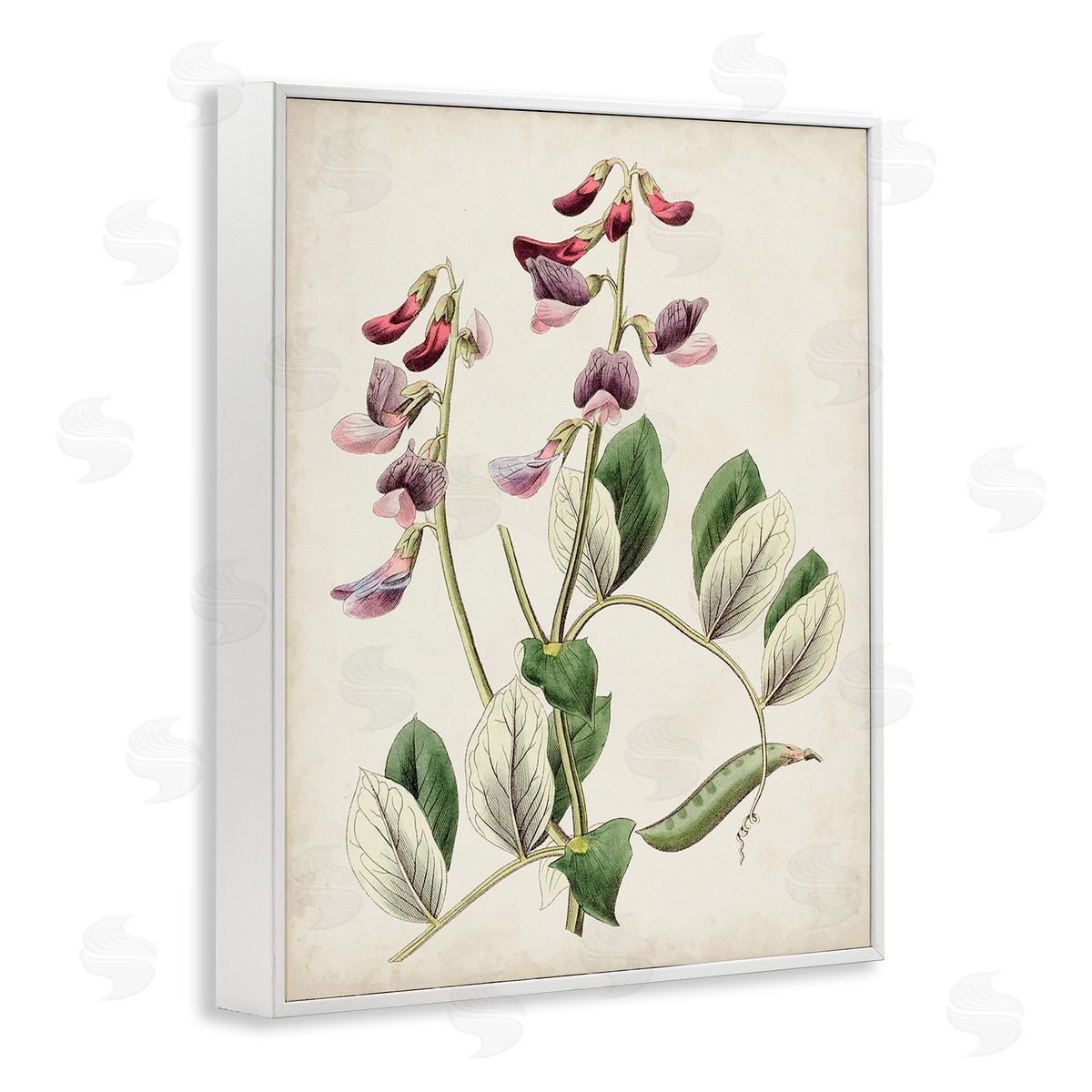 Ridgeway Vintage Foxglove Study White Framed Giclee Wall Art Print