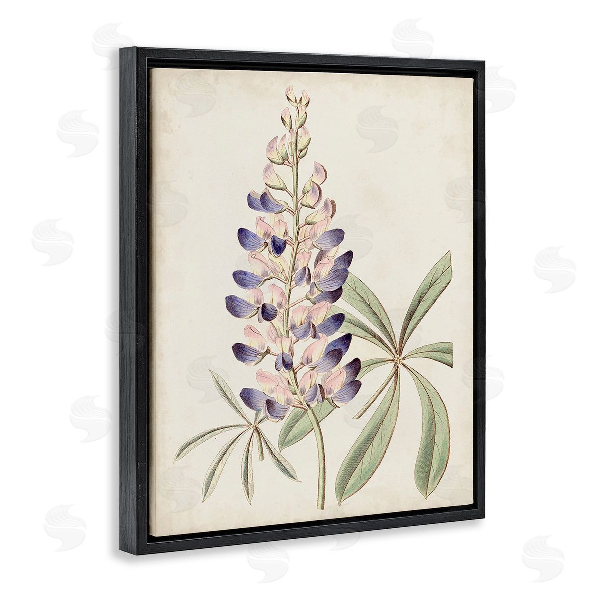 Ridgeway Vintage Lupin Plant Black Floating Frame Canvas Wall Art Print