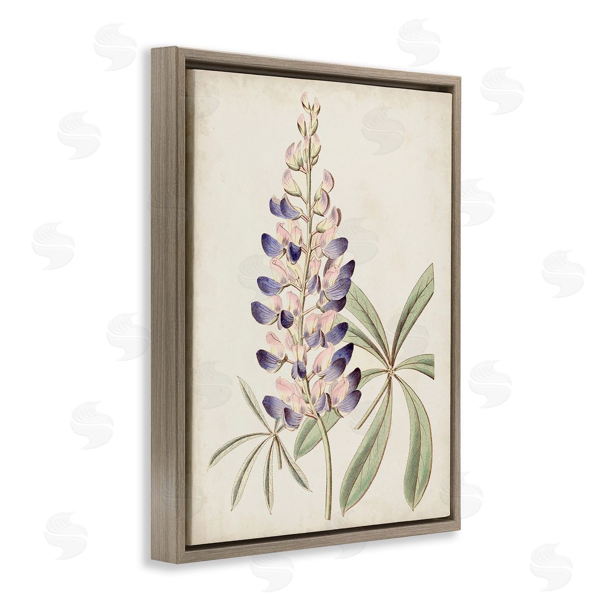 Ridgeway Vintage Lupin Plant Brown Floating Frame Canvas Wall Art Print