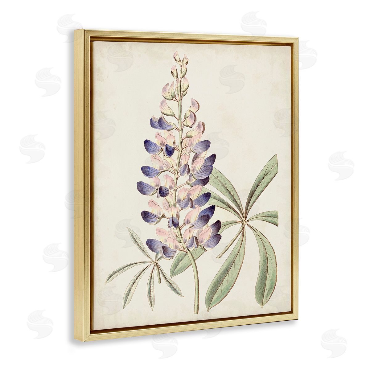 Ridgeway Vintage Lupin Plant Gold Floating Frame Canvas Wall Art Print